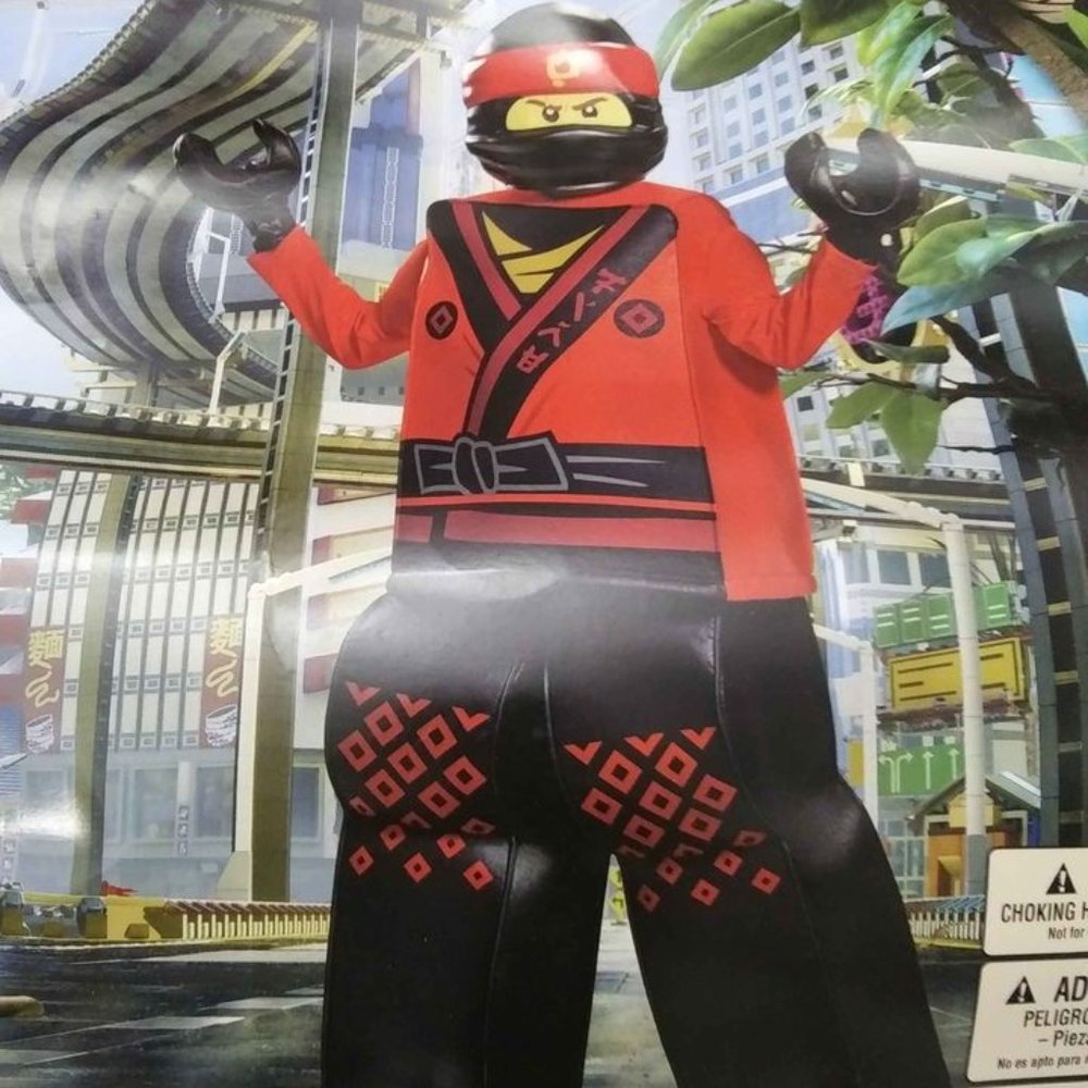 Lego Ninjago Kai Costume